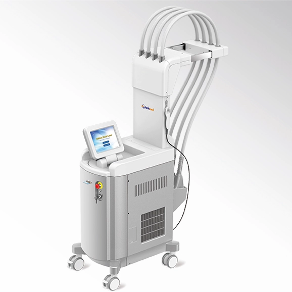 Desbloqueie o formato ideal do corpo com laser de diodo de escultura de 1060nm