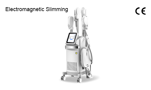 Por que você precisa de escultura ems?